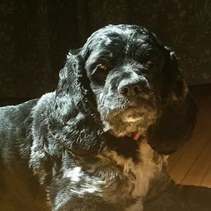 Meet your Posher, Nicholas